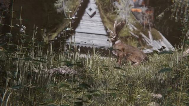 Blender Избушка. Курс по созданию комплексных сцен от Андрея Соколова смотреть онлайн