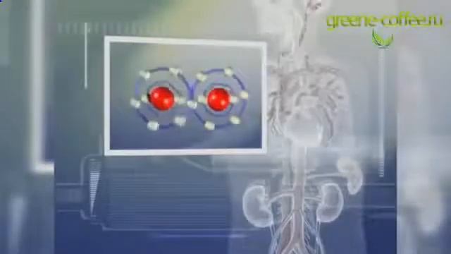 Похудение с зеленым кофе