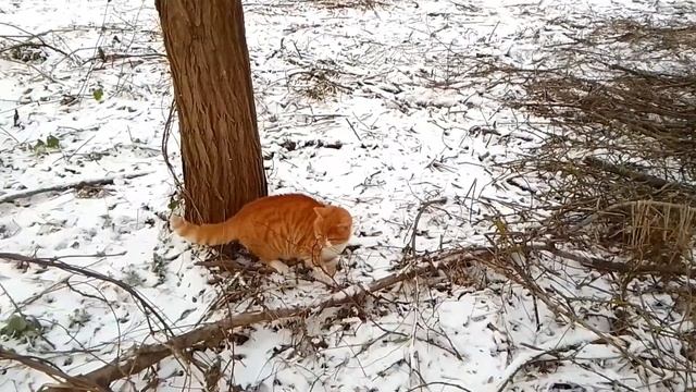 помочники смотреть онлайн