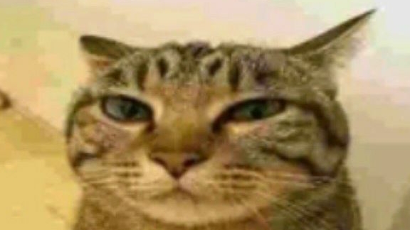 😹 смотреть онлайн