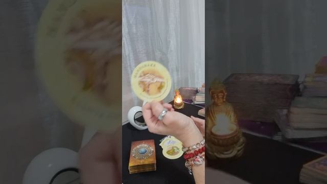 Mesajele Tarotului pentru 26 Februarie,pe zodii!🙏🧚♂️❤🍀🦋🌝 смотреть онлайн