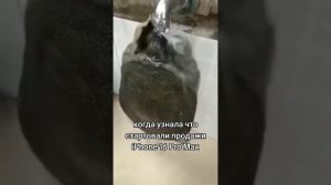 Когда узнала что стартовали продажи iphone 16 Pro max