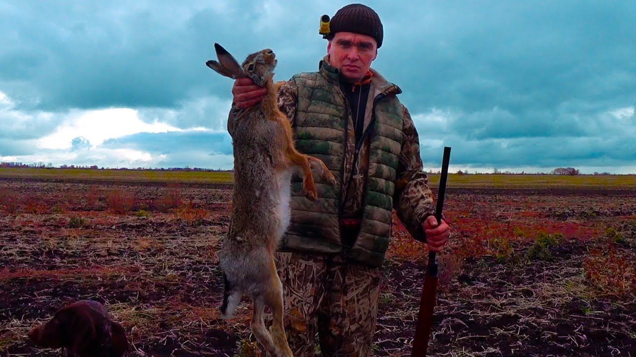 ЗАЙЦА ТЬМА!!!! ОХОТА НА ЗАЙЦА !!! смотреть онлайн