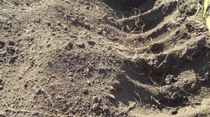 Самодельная ФРЕЗА на самодельный трактор своими руками.Часть 1.