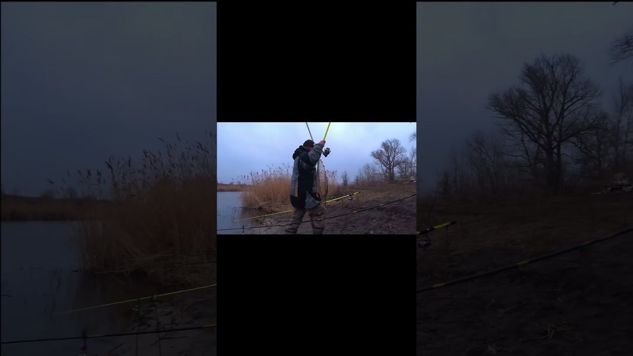 АМУР САЗАН!!! СЕЗОН ОТКРЫТ !!! #shorts смотреть онлайн