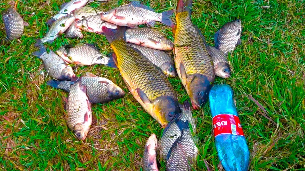 РЫБЫ ПОЛНО !!! НА ВТОРЫХ КАМНЯХ !!! смотреть онлайн