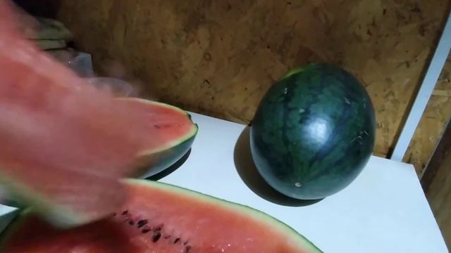 Январь. Кушаем арбузы. Очень спелые. смотреть онлайн