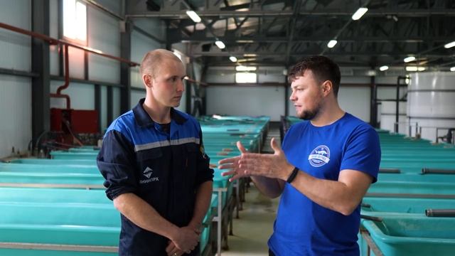 Конаковский осетровый завод. Полный обзор от «АкваФермы». смотреть онлайн