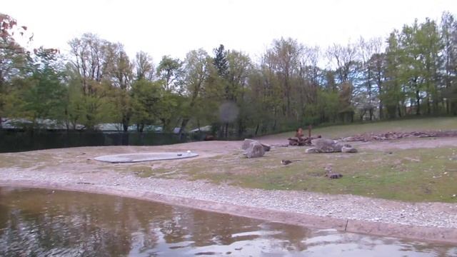 Zoo Munich Tierpark Hellabrunn No.32 Bison смотреть онлайн