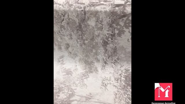 7-926 смотреть онлайн