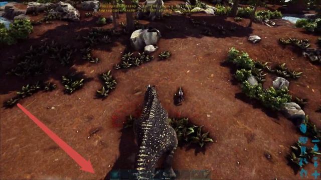 Кархародонтозавр быстрое приручение / Carharodontosaurus easy and fast taming смотреть онлайн