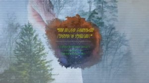 Стих Не надо бояться густого тумана, Не надо бояться пустого кармана Стих. Евгений Евтушенко.