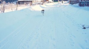 КУПИЛ 2 ДОМА В ДЕРЕВНЕ | ОСТАЛСЯ ЖИТЬ ОДИН | ПЛАНЫ НА БУДУЩЕЕ