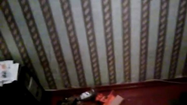 Вызов духа смайл дога SMAIL DOG