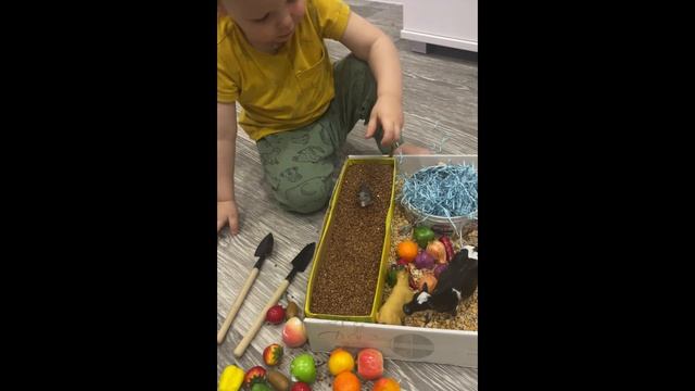 Игры на кухне с крупами