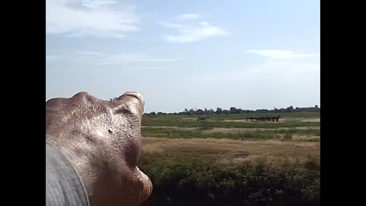 15.06.2024 ЧТО ДЕЛАТЬ? : ЛПХ В ОПАСНОСТИ смотреть онлайн