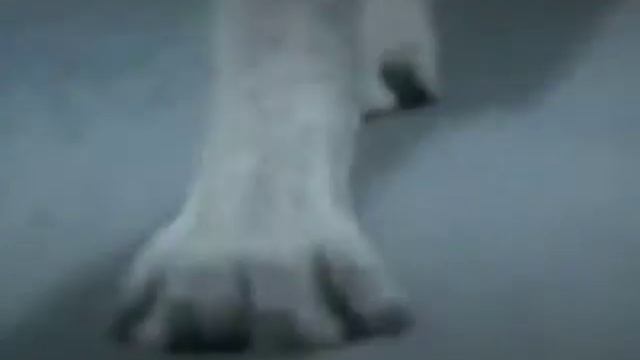 "Cry Wolf" by Pan/Tone (100 Years Areal) смотреть онлайн