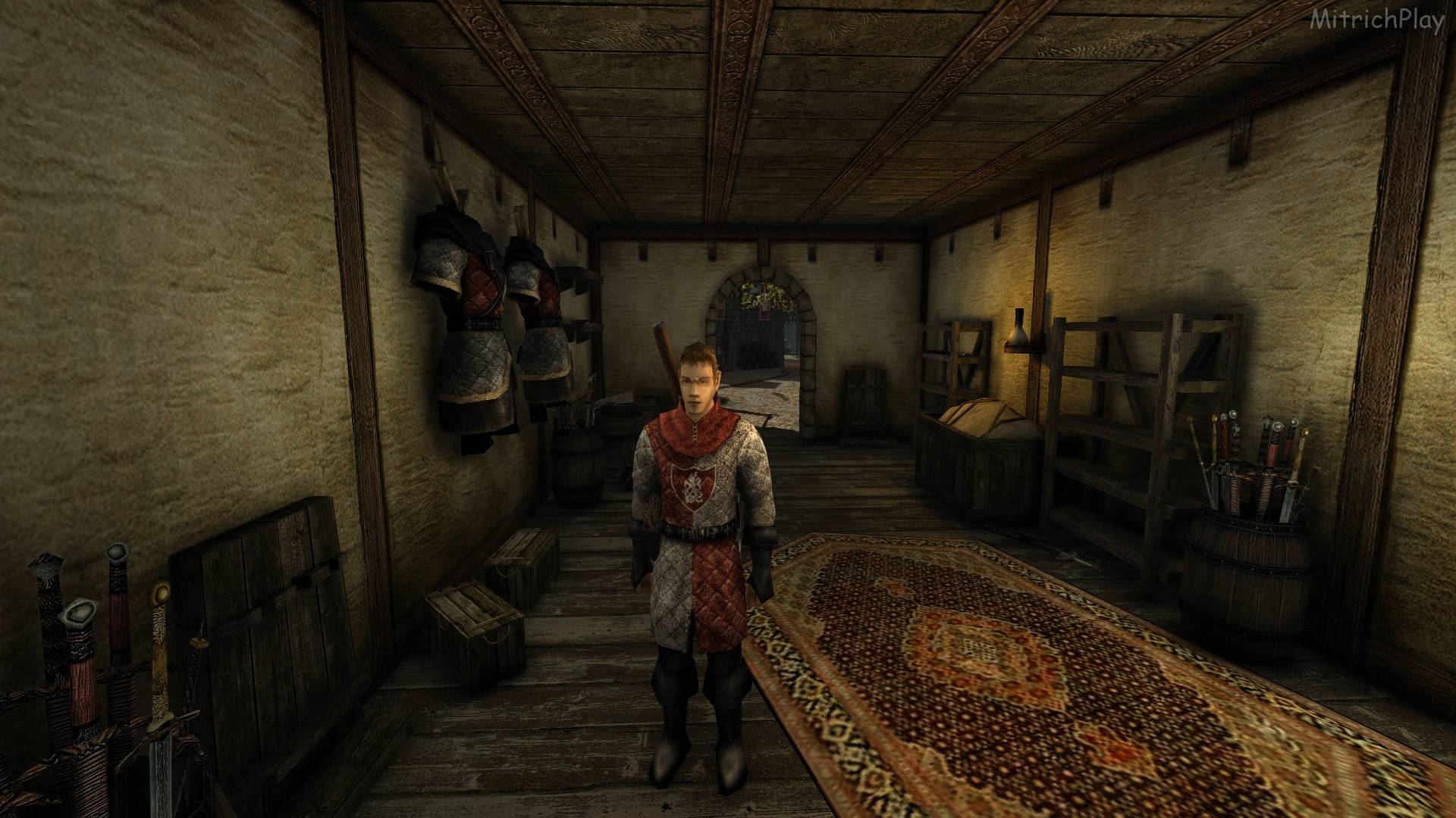 У города новый защитник ⯇За стражу!⯈ The Chronicles Of Myrtana - Archolos #24 смотреть онлайн