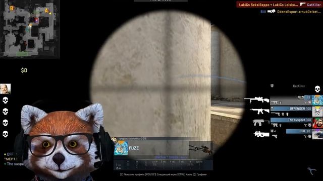 Енот играет в CS:GO\\Игра с подписчиками смотреть онлайн