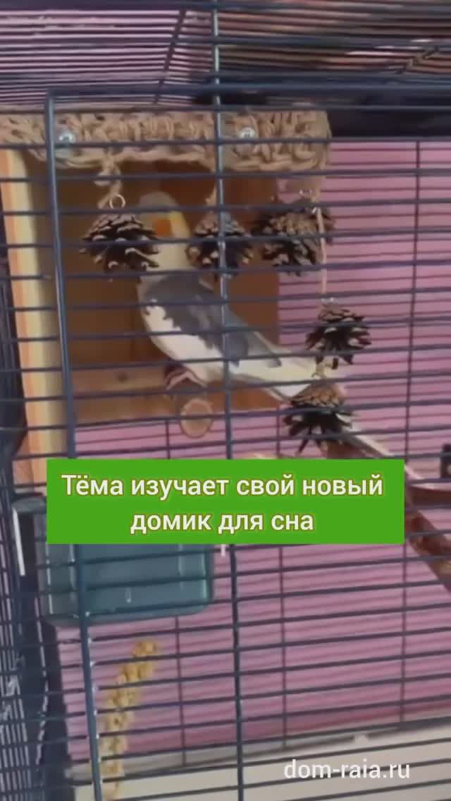 Отзывы