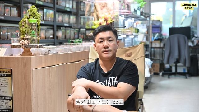 바분류의 왕 킹바분을 소개합니다./Pelinobius muticus смотреть онлайн