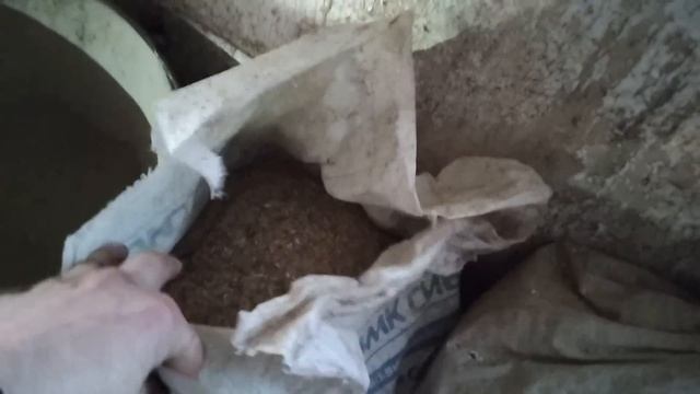 Откорм быков в новых цифрах 2023 #12 смотреть онлайн