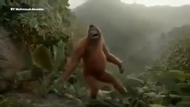 Абизяна тансует смотреть онлайн