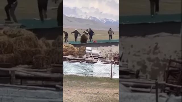 Когда душа уходит в пятки: медведь решил поиграть в догонялки с жителями села одной из стран Азии смотреть онлайн