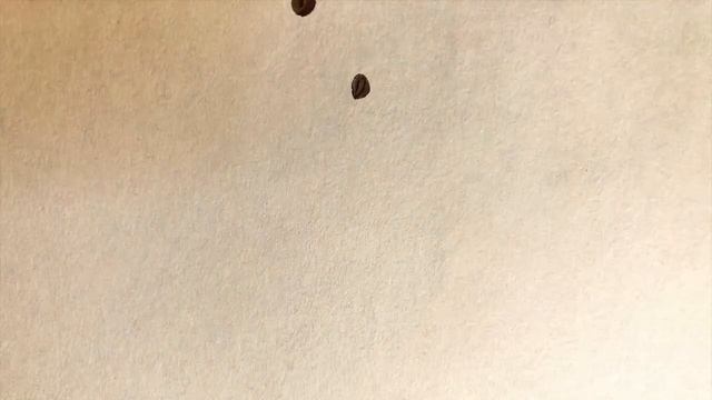 Don Pablo Coffee Colombian Supremo Animation смотреть онлайн