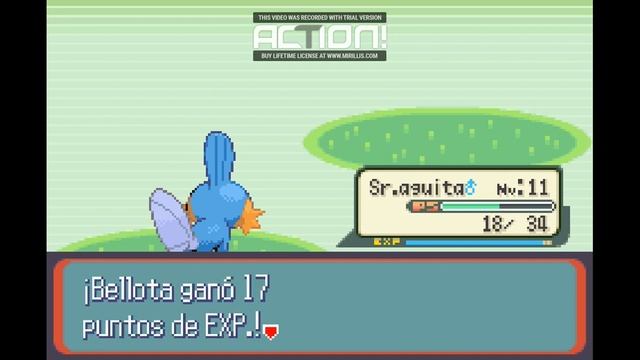 Nuevos Pokemon! - Pokemon Capitulo 2 - Koala Jacobo смотреть онлайн