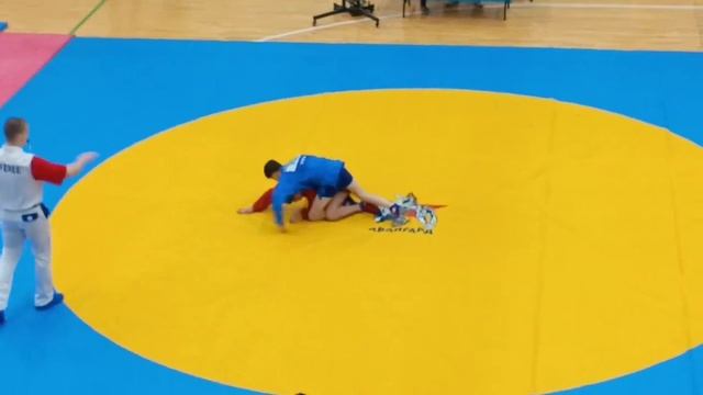 Воронов Кирилл самбо Домодедово смотреть онлайн