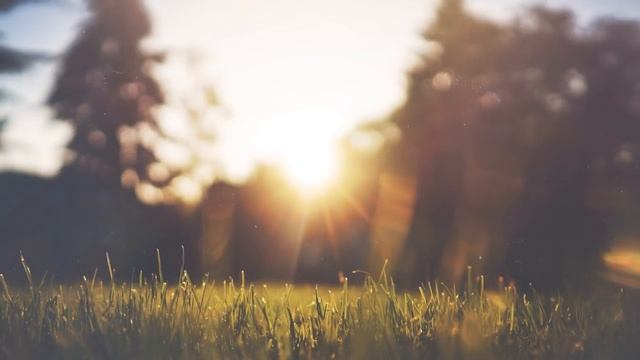 Спокойная утренняя музыка - Индийская флейта и Танпура 432 Гц смотреть онлайн