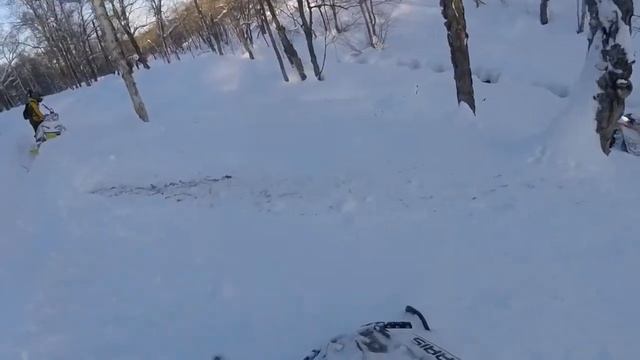 Kamchatka SLEDDING