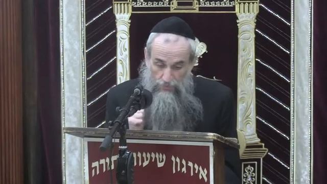 The Knife In Hilchos Kashrus - Rabbi Yakov Zev Smith смотреть онлайн