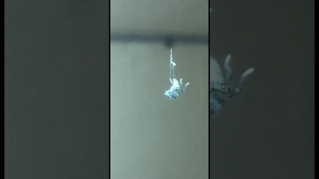 20 июня 2023 г. смотреть онлайн