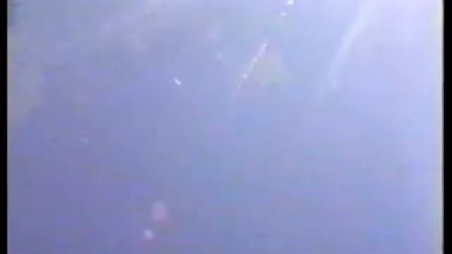 Голуби смотреть онлайн