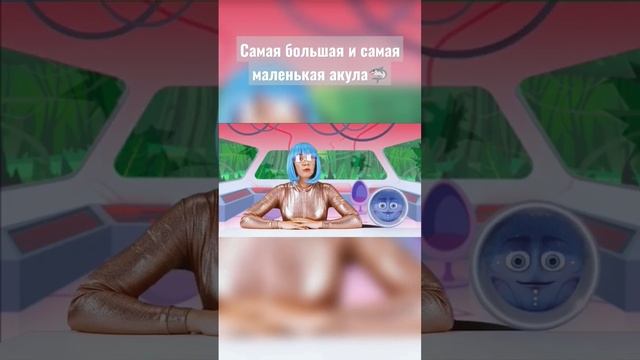 А вы знали, что существует акула-фонарь? 🦈 #shorts смотреть онлайн