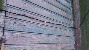 Снег ,покупки,таблетки для кошек.