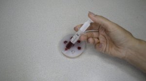 МАЛИНА НА  ЖЕЛАТИНЕ - для украшения торта