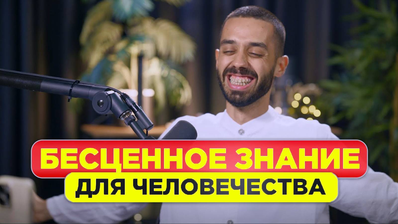 Нейросеть Chat GPT и ANAR DREAMS! смотреть онлайн