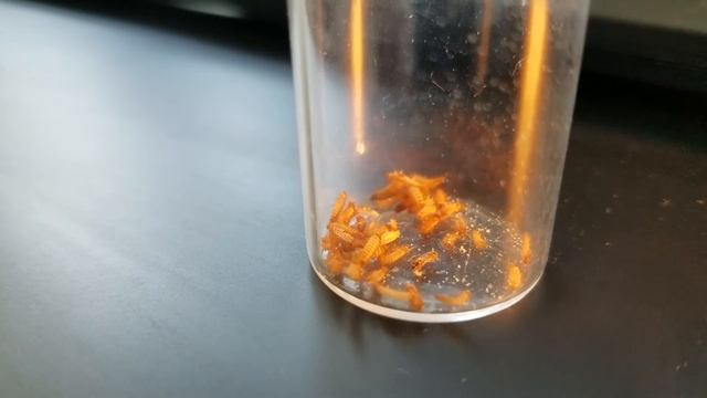 Khapra beetle 9.15.16 смотреть онлайн