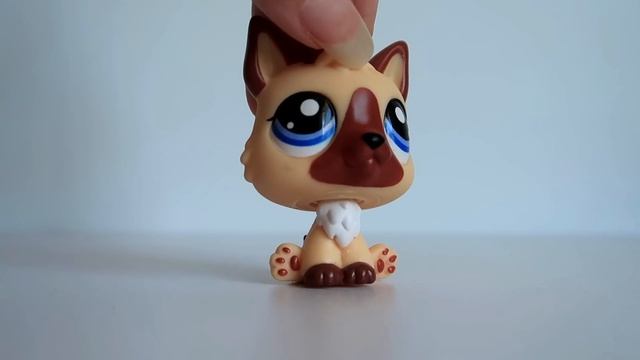 Unboxing EVERY LPS Pet Pairs 2 Pack
