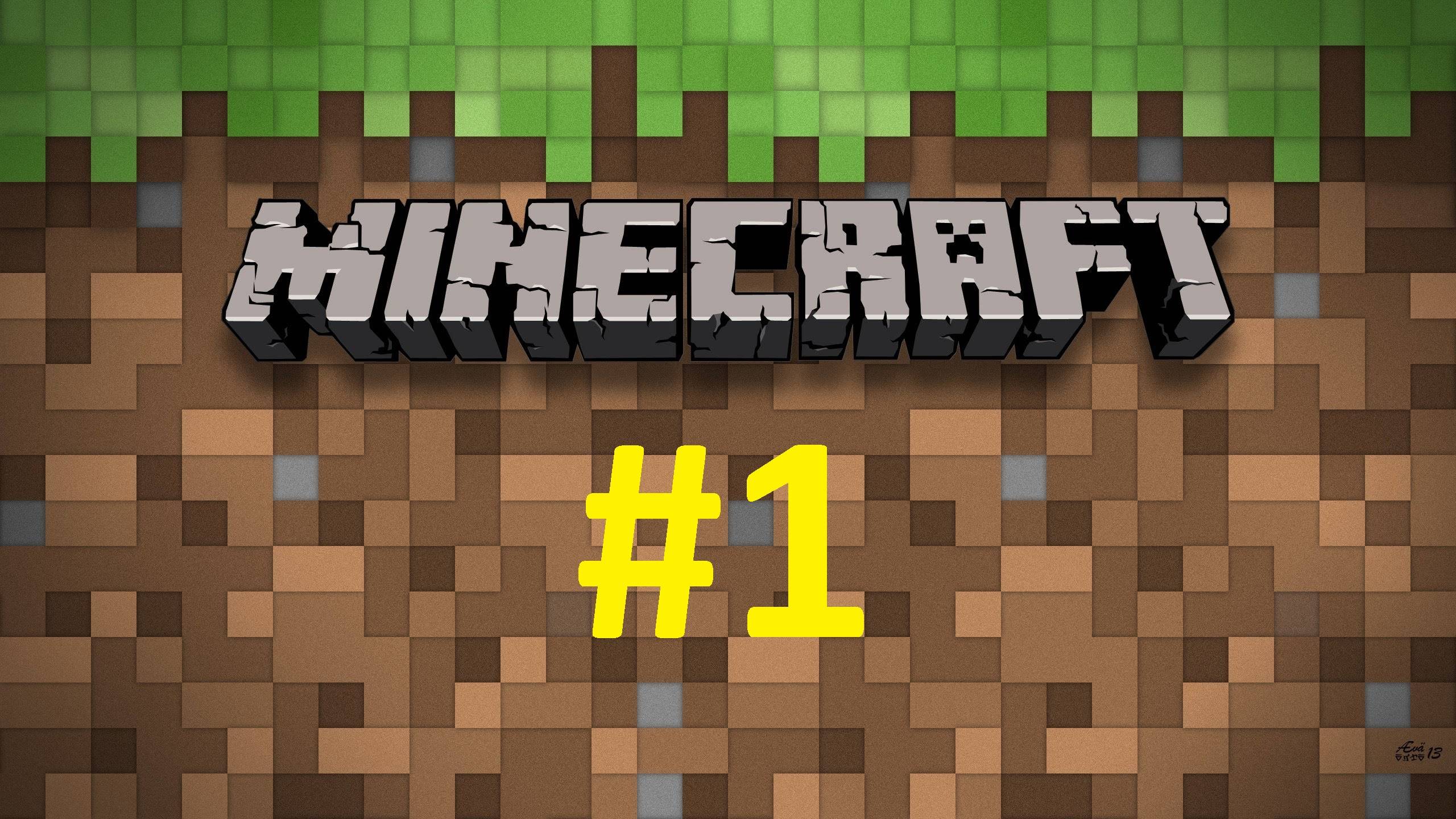 Minecraft #1