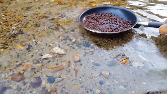 Campfire Coffee: Roast Your Own смотреть онлайн