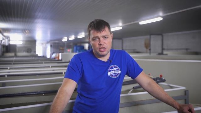 Решение суда «Нападение прокуратуры» смотреть онлайн