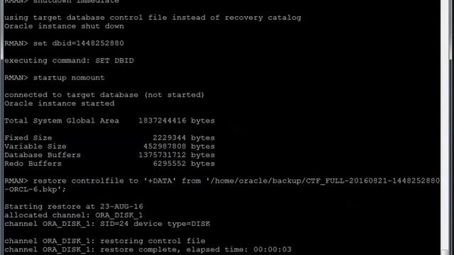 Restore Database смотреть онлайн