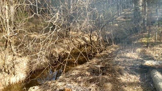 Традиционные апрельские посиделки в ПРП Жива смотреть онлайн