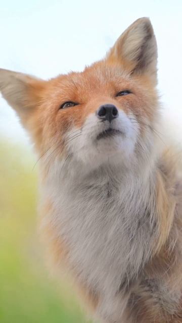 Тебе не кажется, что это так мило?😍