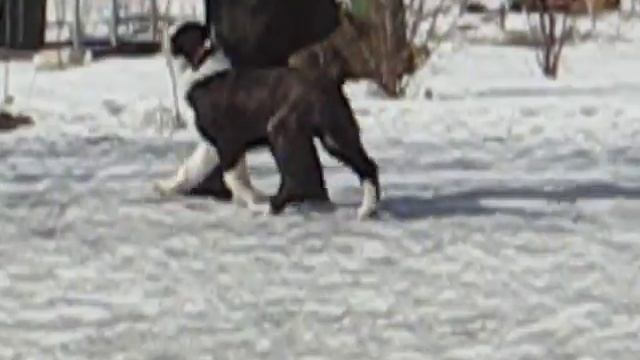 новая папка 2 011 смотреть онлайн