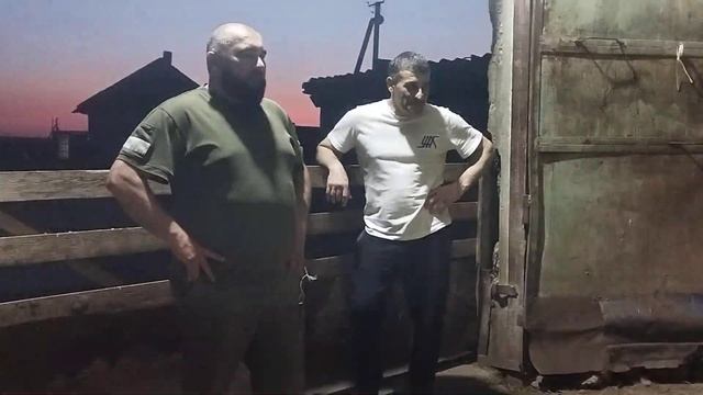 Приезжали любители и заводчики Гиссарских овец и уехали с положительными эмоциями с моего хозяйство смотреть онлайн